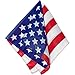 Bold & Stunning American Flag Polyester Bandana (20
