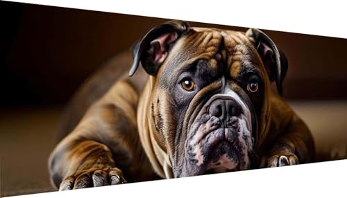 Peinture diamant Bouledogue XXL décorer un grand salon moderne avec élégance