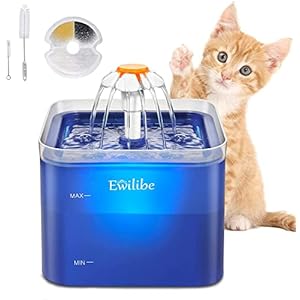 Ewilibe Trinkbrunnen für Katze 2L Katzenbrunnen Leise Automatischer Wasserbrunnen BPA-frei Hunde Haustier Pet Water Fountain mit LED Nachtlicht und Aktivkohlefilter und 2 Reinigungsbürsten(Blau)