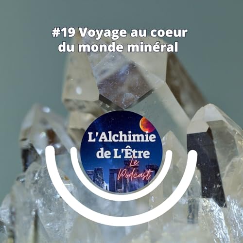 #19 Voyage au c&oelig;ur du monde min&eacute;ral