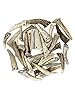 Natural Dakota Deer Antler Crafting Points (Jewelry, Home Décor, Crafts) (1"-3" with Drilled Hole) #1