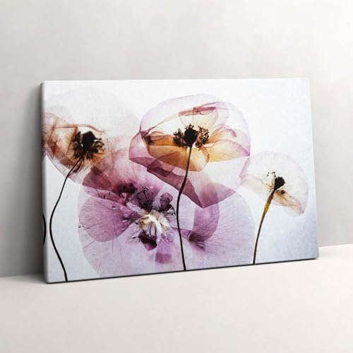 Tableaux fleurs de pavot sèches 60x40cm pour mur vide sans éclat