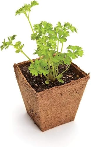 Flotstiga 20 bandejas de germinação de plantas de 240 células com etiquetas de plantas, vasos de tur