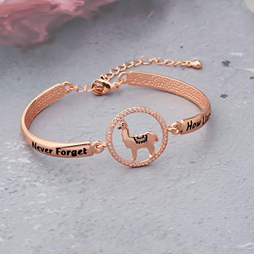 Kuiyai Never Forget How Llamazing You Are Bangle Llama Gift Cute Alpaca Charm Bracelet (Br-Llamazingrg) #TOP2