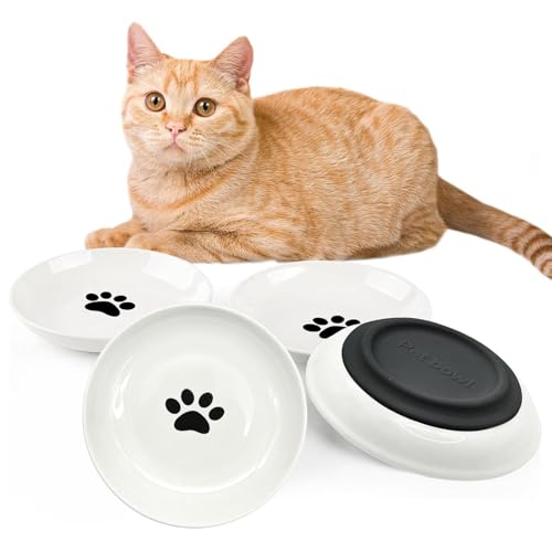 BNOSDM mXLbhLbgt[h{E 4 󂢃Z~bNLbgfBbV SEBXJ[JLeB{E 5.9C` tbgLbgv[g hC&EFbgt[hp^ybga{E