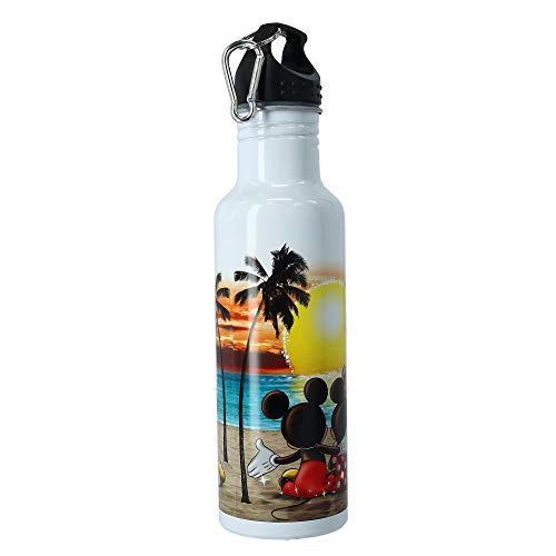 Jerry Leigh Disney Mickey & Minnie Mouse Sunset Aluminum Water Bottle with Carabiner Hook