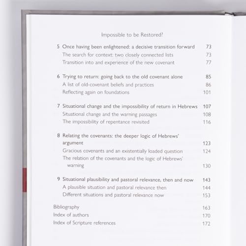Impossible to Be Restored?: Temptation and Warning in the Epistle of Hebrews (New Studies in Biblical Theology) - image 7