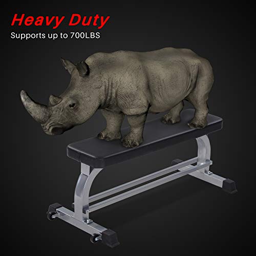 Flat Weight Workout Bench, Cheertran 700LBS Exercise Bench for Weight Training and Ab Exercise - Utility Workout Benches for Home