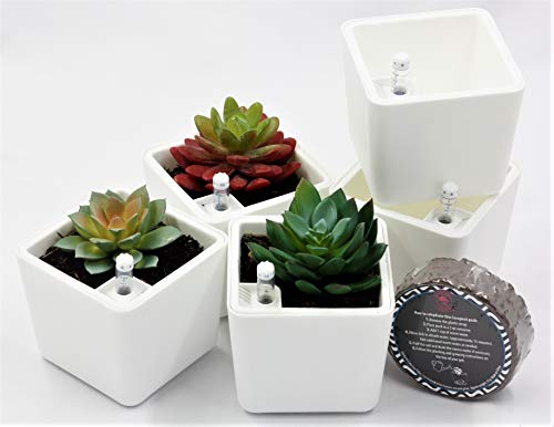 3.5" Plant pots self-watering succulent pots – Easy succulent planters pots for plants – Perfectly watered over 10 days for happy, healthy plants – Water level indicator + coco fiber pellet - White