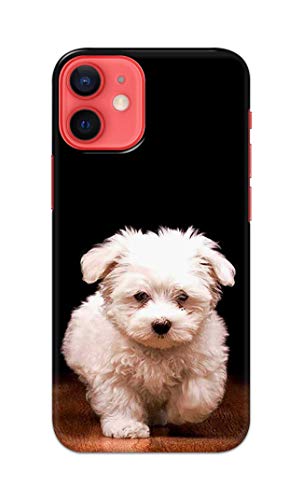 Image of PRINTFIDAA� Printed Hard Back Cover Case for Apple iPhone 12 | iPhone 12 Pro Back Cover (Puppy Dog) -2808