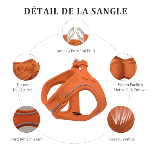 Qianruida Step-in Dog Harness with Lead, Breathable, Easy to Control, Reflective Strips (Orange XXS) - Image 2