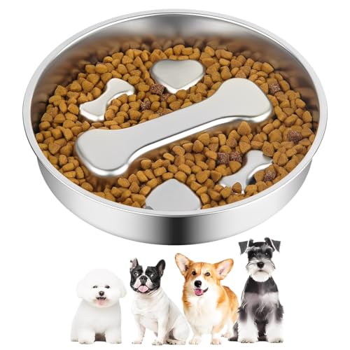 LEPGUYO Ciotola Per Cani Acciaio Inox 22cm Forma Ossea, Anti-Ingozzamento Antiscivolo Doppio Lato, Lavabile Lavastoviglie Cani Piccoli-Medi
