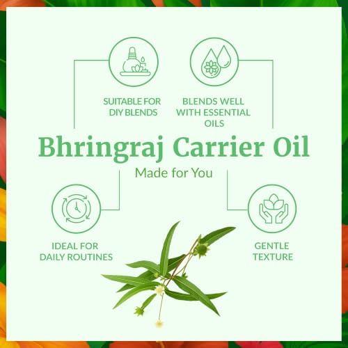 SVA Bhringraj Carrier Oil, Huge Bottle, Large Size, 16 Fl Oz (473 ml) Detail