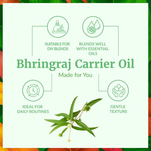 Image of SVA Bhringraj Carrier Oil, Huge Bottle, Large Size, 16 Fl Oz (473 ml) | Bhringraj Oil for Hair Care, Hair Oiling, Scalp Massage, Hair Oil Blends, Body Massage, Skin Care & DIY Beauty Recipes