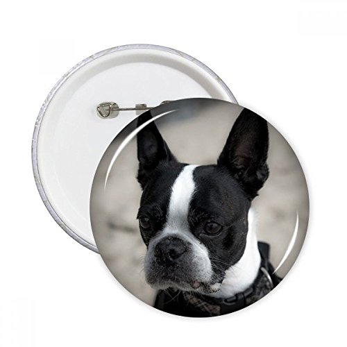 Badge bouledogue noir XXL pour personnaliser vos vestes en jean en ville