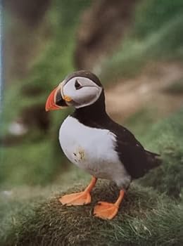 Hardcover Wildlife Fact-File Yearbook 1992 Book