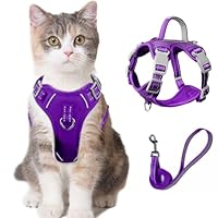 Arnés Y Correa Para Gatos A Prueba De Escape - Tamaño Pequeño/Mediano - Patrón De Abeja Morado - Poliéster Ajustable