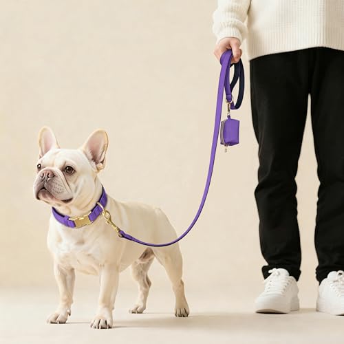 Collier chien violet M Didog rembourré imperméable - 5