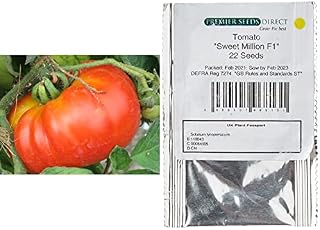 PREMIER SEEDS DIRECT Italian Tomato - COSTOLUTO FIORENTINO - 50 Seeds