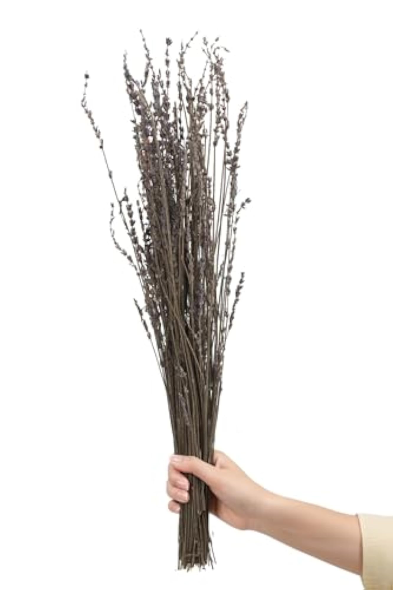 Preserved Lavender Bundle for Home Decor