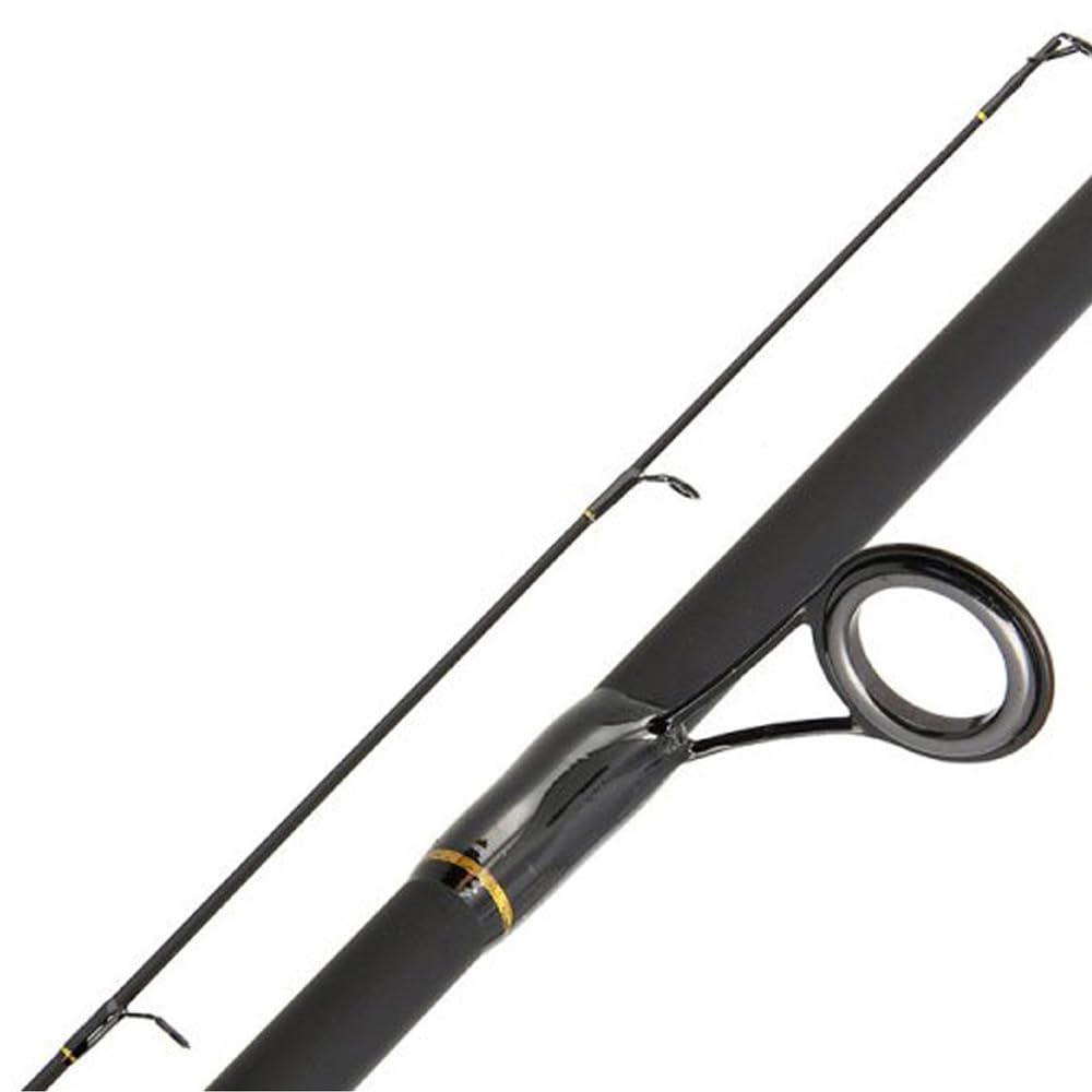 Karpfenrute aus Fiberglas 8ft / 2,40m – 2,00 lbs Carp Stalker Rute – Leichte 2-teilige Steckrute zum Stalken & Uferangeln Transportmaß 1,26 m Mattschwarz