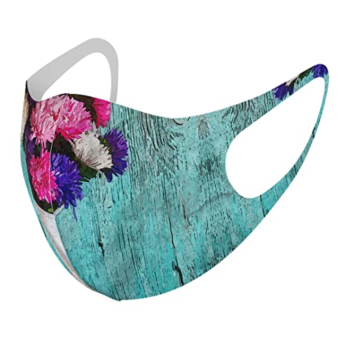 [igsticker] fUC }XN QZbg |GXe 􂦂 z}XN jp MTCY 023367  t[ G