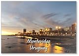 Photomagnet