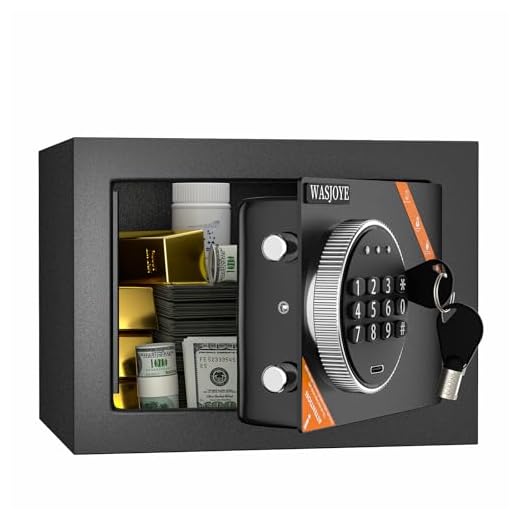WASJOYE Mini coffre-fort domestique, Coffre-fort avec clavier numérique et serrure à clé de sécurité - Petit coffre-fort pour la maison, L'argent, de documents, de bijoux, de passeports 6.6L