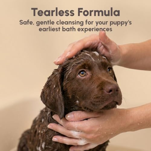 Image of Best Shot Pet Scentament Spa Seasonal Facial & Body Wash (Caribbean Dream, 16 fl oz)