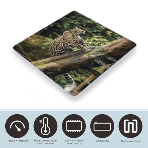 Báscula digital de baño con diseño Jaguar y vidrio templado miniatura 3
