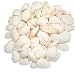 Juvale Clam Sea Shells for DIY Crafts, Beach Decor (65 Count)