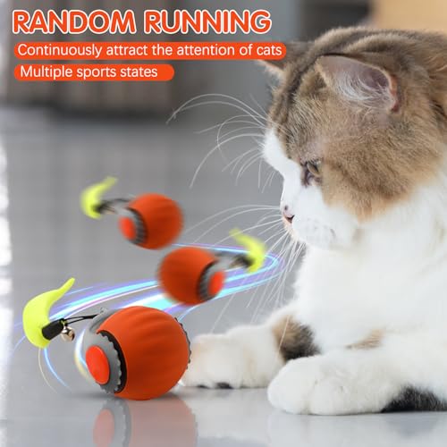 Viuvoiul Speedy 3.0 Tail Upgrade Speedy 3.0 Tail Cat Toy, 2025 Nova bola interativa Turbo Smart para