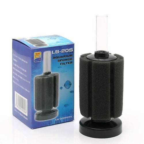 krr { krrX|WtB^[ kr|QOr GA[V