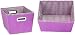 Household Essentials Small Tapered Bins, Purple with Purple and White Gingham, Set of 2