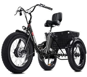 three wheel electric cargo bike