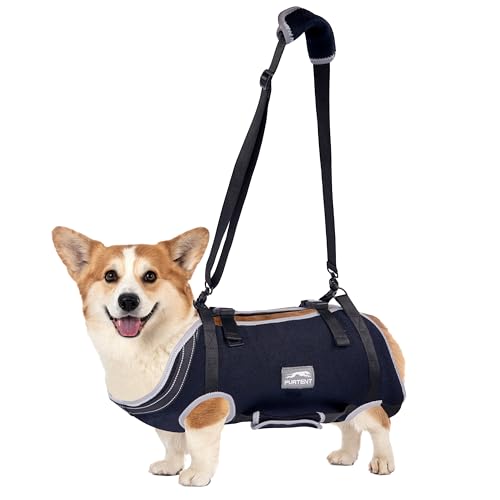 Male Dog Lift Harness, Pet Hind Hip Support & Rehabilitation Sling Lift – for Old, Disabled, Joint Injuries, Loss of Stability Small and Medium Dogs Walk, Full Body Dog Harness, M Male Dog Lift Harness, Pet Hind Hip Support & Rehabilitation Sling Lift – for Old, Disabled, Joint Injuries, Loss of Stability Small and Medium Dogs Walk, Full Body Dog Harness, M