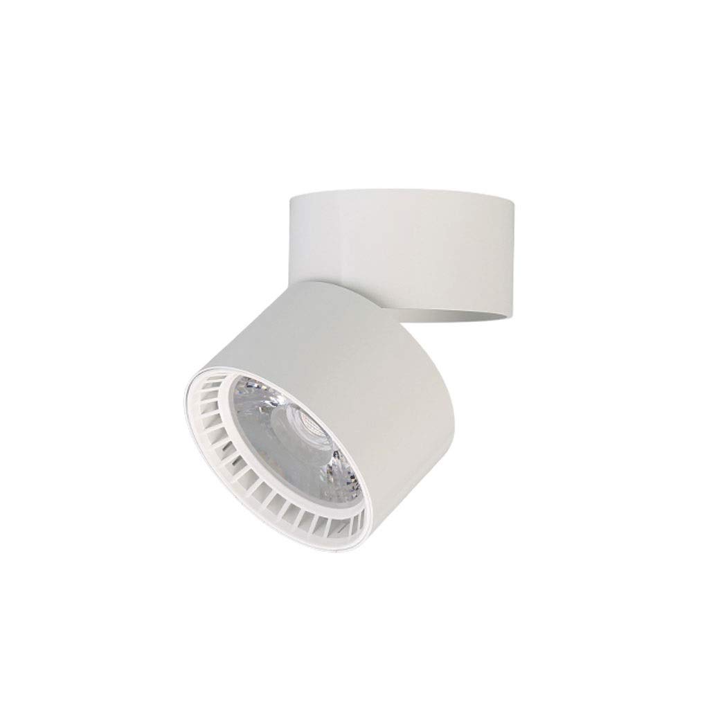 HynJGih Surface Mounted Spotlights Led Downlight Ceiling Small Track Light Living Room Home Ceiling Type Wall Cob Ceiling Light(3w White,White Light)
