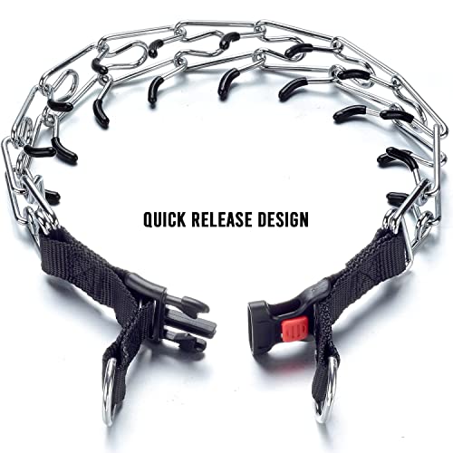 Jantopet Dog Collar Chain Adjustable Dog Collars For Small Medium Large Dogs Name Plate(Nl,Silvertone) #TOP5