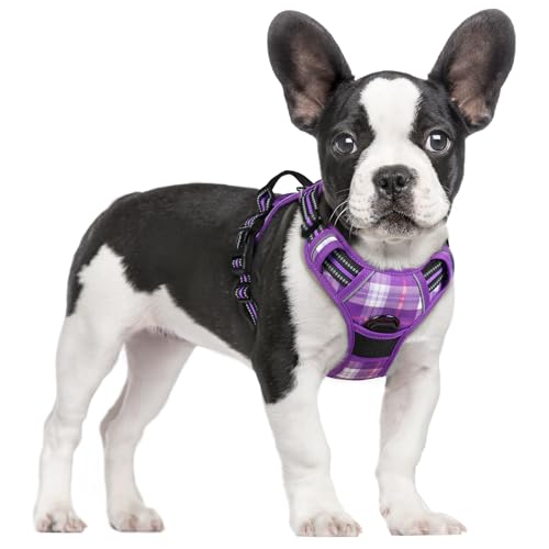 Image of rabbitgoo Dog Harness No Pull with 2 Leash Clips, Adjustable Soft Padded, Reflective Oxford No Choke Pet Vest with Easy Control Handle for Small Dogs, Purple Plaid, S