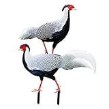 BEBEMOKO Estacas Acrílicas De Faisán para Jardín Decoración Exterior De Césped y Patio Set 2 Unidades Resistentes Al Desgaste para Adorno Decorativo De Jardín Patios Traseros