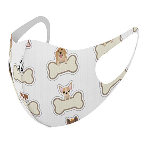 [X}R] fUC }XN QZbg |GXe 􂦂 z}XN jp 009180  L LN^[