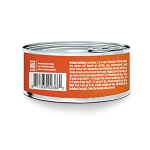 Nulo freestyle small breed adult wet canned dog food premium all natural grain free with omega 3  6 for a healthy coat and high animal based protein 24 pack   cucciolini doodles