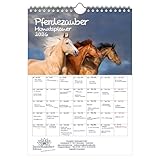 Ideal también como regalo o pequeño detalle con el que permanecerás 12 meses en un recuerdo positivo.