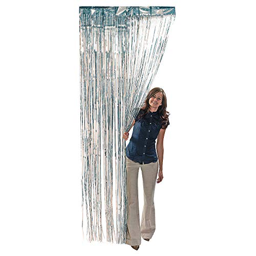 Fun Express - Silver Metallic Fringe Curtain for Party - Party Decor - Door Decor - Door Borders & Curtains - Party - 1 Piece Fun Express - Silver Metallic Fringe Curtain for Party - Party Decor - Door Decor - Door Borders & Curtains - Party - 1 Piece