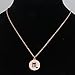 Zodiac Pendant Necklace Rose Gold Disc Horoscope Necklace Birthday Gift (Scorpio RG)