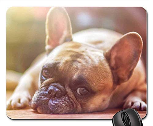 Preisvergleich Produktbild Mauspads - Dog Model Französische Bulldogge Ansicht