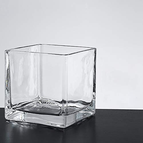 LINDU Vase en Verre, Arrangement Floral carré de Style européen, Barre carrée Transparente, Salon Moderne, ornée de Pots de Fleurs charnus, 15 * 15CM