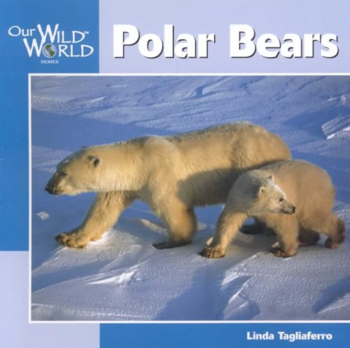 Polar Bears (Wild Ones)