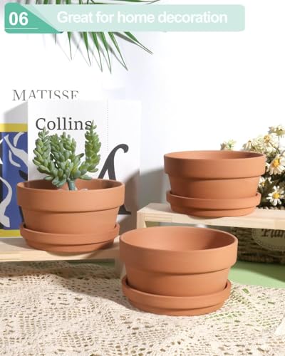 vensovo 5.7 Inch Terracotta Shallow Succulent Pot - 6 Pack Terra Cotta Clay Pots with Saucer, Cacuts Terra-Cotta Indoor and Outdoor Planters with Drainage Hole - Thumbnail 6