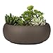 Modern Unglazed Round Ceramic Succulent Cactus Planter Pot with Brown Matte Finish